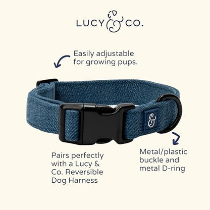Lucy & Co. Dog Collar - Durable Lightweight Designer Collar for Pets - Adjustable Metal Safety Buckel. - Blue Denim - Small - color: Blue Jeans, size: Small