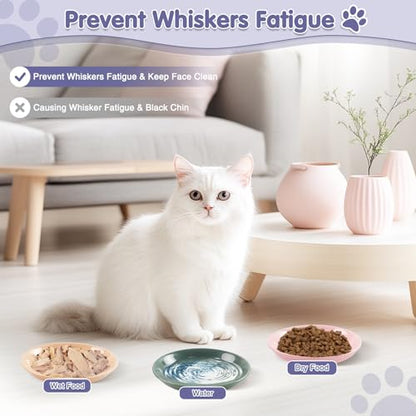6 Pack Cat Food Bowl, Ceramic Cat Bowls, Anti Whisker Fatigue Cats Bowl Set,5.5 Inches Shallow Wide Kitten Plates for Food and Water (CaiSe-B) - color: CaiSe-B