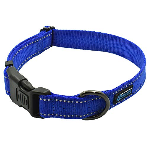 Max and Neo NEO Nylon Buckle Reflective Dog Collar - We Donate a Collar to a Dog Rescue for Every Collar Sold (Small, Blue) - color: Blue, size: Small