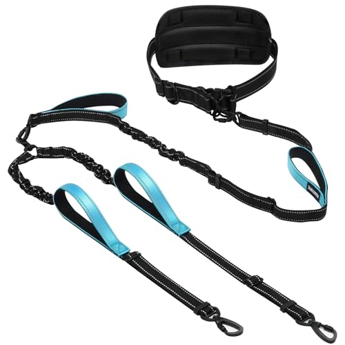 Hands Free Leash for 2 Large Dogs, No Tangle Waist Walking Bungee Leash, 6-8 FT Dual Dog Leashes(50-150 lbs) - color: 2 Dog – Shadow Black