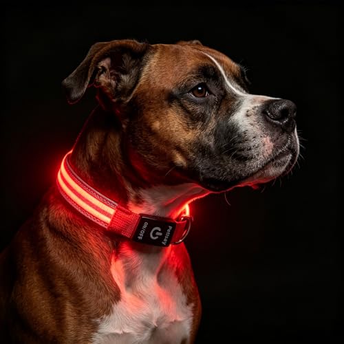Dog Light up Collar for Night Walking - High Visibility LED Dog Collar - Rechargeable - Waterproof - Reflective - Adjustable Lighted Glow Collars(Red,XLarge) - color: Red, size: XLarge (22" - 27")
