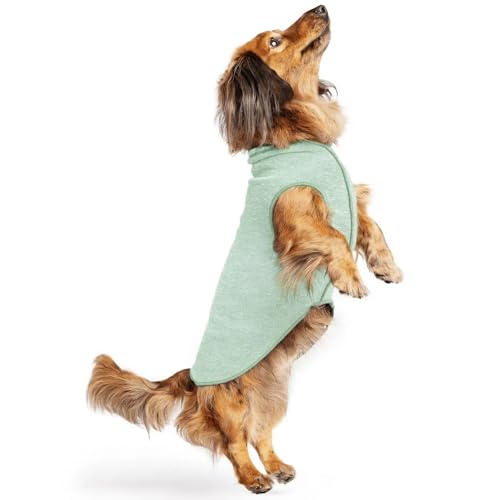 Goldpaw Dog Sun Shirt with UV Protection - Lightweight, Cooling Sun Protection Clothing for Small Dogs - Reduce Heat Absorption - Made in the USA - Machine Washable - Pistachio Green - Size 12 - color: Pistachio Green, size: 12