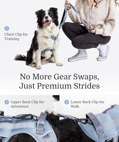 2026 New Edition, Fei & Eve Classic Dog Harness - Quick-Release Buckles | 3-Point No-Pull Control | Heavy-Duty 900D Nylon | Dual Safety Handles | Breathable Mesh | Adjustable Fit | X-Large,Blue - color: Dusk Blue, size: XL