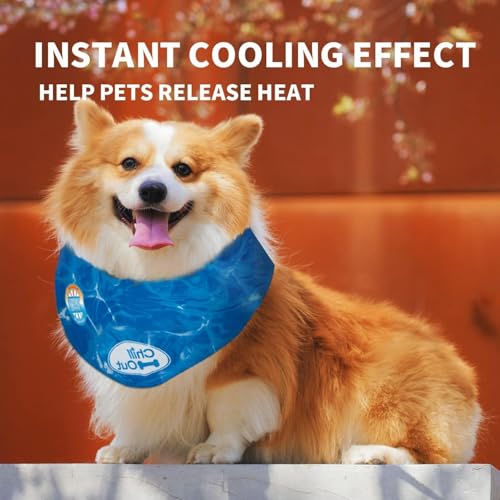ALL FOR PAWS Dog Cooling Bandana, Cooling Bandanas for Medium Dogs, Dog Cooling Neck Wrap, Cooling Scarf for Dogs, Blue Ice Dog Neck Cooler for Summer (M) - size: Medium