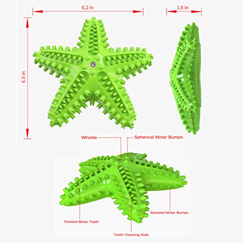 Squeaky Dog Toys - Starfish Natural Teeth Cleaning Toy for Small & Medium Dogs (Green) - color: Starfish Green