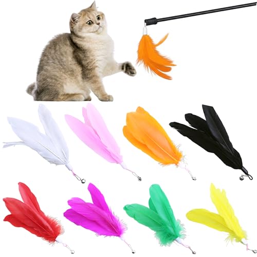 Cat Toy Refill, 8 Pack Large Feather Toy with Bell for Cat Wand Toy Accessories Cat Toy Attachment Replacements, 7.87” Realistic Size Feather Toy for Bored Indoor Adult Cat Play Exercise - color: 8 Pack Cat Feather Toys Feather Refill