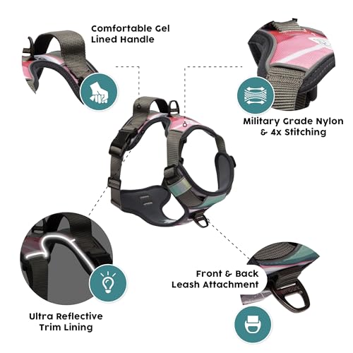 Embark Adventure Small Dog Harness – No-Pull, Reflective Trim, Military-Grade Nylon, Front Clip with Gel-Lined Handle, Soft & Padded - color: Baja, size: S