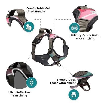 Embark Adventure Small Dog Harness – No-Pull, Reflective Trim, Military-Grade Nylon, Front Clip with Gel-Lined Handle, Soft & Padded - color: Baja, size: S
