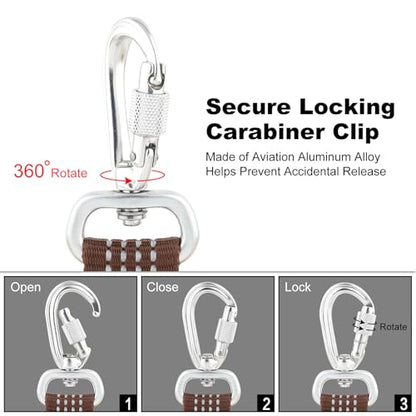 Plutus Pet Heavy Duty Dog Leash with Lockable Aluminum Carabiner, 4/6 Feet Long, Double-Sided Reflective Nylon, Padded Handle, for Puppy, Small, Medium and Large Dogs (Chocolate, 4/5" x 4') - color: Chocolate, size: 4/5" x 4'