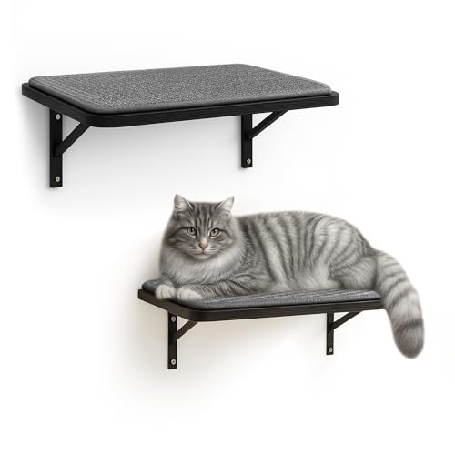 Cat Wall Shelves Set of 2, Black Solid Wood Cat Window Perch with Grey Sisal Cushion, Wall-Mounted Space-Saving Climbing Bed, Lounging Shelf for Kittens & Cats, Black Furniture for Indoor - color: Gray Shelf, size: Double Shelf (2 Pieces)