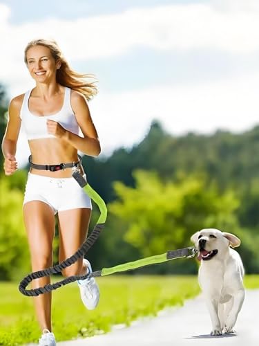 Hands Free Dog Leash for Running Waist Leash for Dog Walking, Double Handle Bungee Leash with Reflective Stitching and Adjustable Dog Walking Belt, Grey/Green - color: Grey/Green