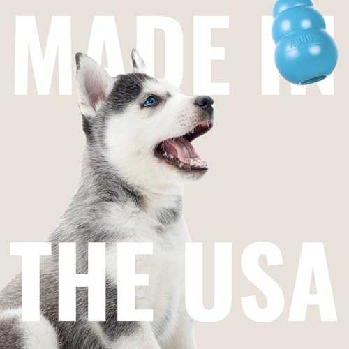 KONG - Puppy Toy - Natural Teething Rubber - Fun to Chew, Chase and Fetch ( Colors May Vary) - color: Blue, size: Large (Pack of 1)