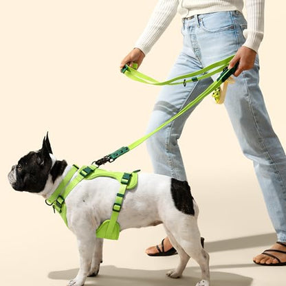 HNS1000B Arlo Extra Small Adjustable Soft Padded No Pull Pet Harness with 3 Buckles and 3 Leash Clips, Mojito - color: Light Green, size: X-Small (Chest: 11.8 - 17")