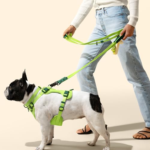 HNS1003B Arlo Large Adjustable Soft Padded No Pull Pet Harness with 3 Buckles and 3 Leash Clips, Mojito - color: Light Green, size: Large (Chest: 24 - 37")