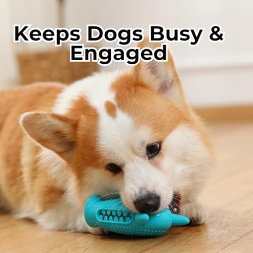 Interactive Dog Treat Dispenser Puzzle Toy – Durable Chew & Teething Toy for Dogs, Mental Stimulation & Slow Feeding – for Small, Medium & Large Dogs