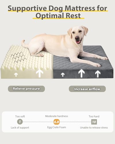 NUPIDA Orthopedic Dog Beds Large Sized Dog Waterproof Lining with Removable Washable Cover and Non-Slip Bottom, Quilting Pet Bed, 35x23 Inch, Dark Gray - color: Dark Gray, size: 35.0"L x 22.0"W x 3.0"Th