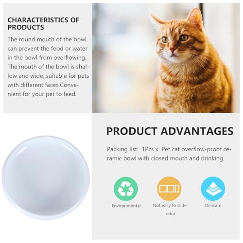 PRETYZOOM Ceramic Cat Water Bowl Pet Feeding Bowl with Anti-Spill Design White Closed Rim Pet Feeder for Indoor Cats for Food and Water