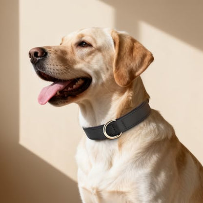 Didog Soft Padded Dog Collar for Large Dogs, Lightweight and Breathable Dog Collar with Metal Buckle, Black, XL - color: Black, size: XL: Fit 17-23" Neck