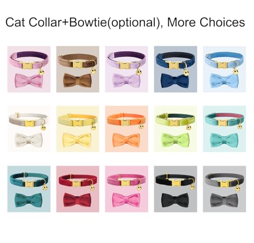 Personalized Cat Collar with Name Plate,Adjustable Tough Nylon Cat ID Collars with Bell,Customize Engraved Pet Name and Phone Number (Velvet Style B)