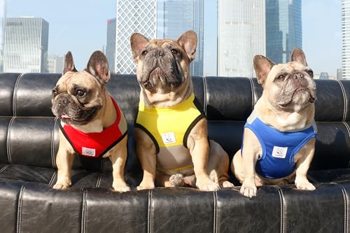 iChoue French Bulldog Summer Cooling Shirt for Dogs UV Sun Protection Vest Sleeveless Stretchy Tank Top English Pug Yellow Black - XXLarge - color: Cooling Shirts Yellow Black, size: XX-Large ( 55 - 70 lbs )