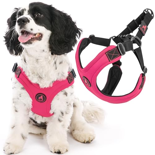 Gooby Escape Free Sport Harness - Pink, Medium - No Choke Step-in Patented Neoprene Small Dog Harness with Four-Point Adjustment - Perfect on The Go Dog Harness for Medium Dogs No Pull and Small Dogs - color: Pink, size: Medium chest (14.25-21.5")