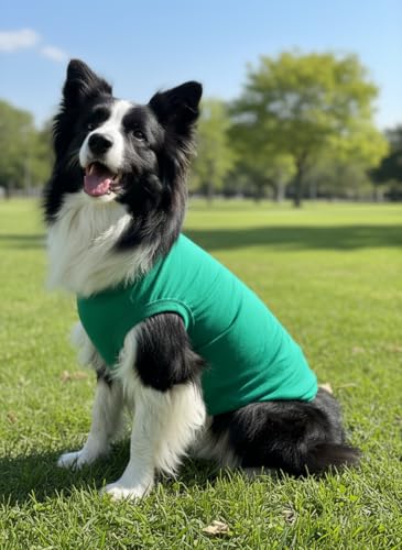 Chol&Vivi Dog Shirts, 4pcs Soft Cotton T-Shirt Clothes, Blank Hoodie/Sweatshirt, XS (14' Chest), Black, Grey, White, Dark Green - color: Black, Grey, White, Dark Green, size: XS (13" Chest)