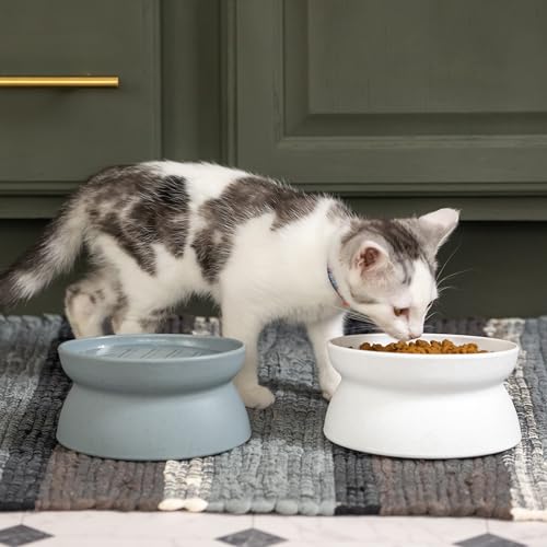 Kitty City Elevated Slow Feeder Cat Bowls (Set of 2), Whisker-Friendly Raised Cat Food Dishes with Ridges, Helps Reduce Fast Eating & Digestion Issues, Dishwasher Safe, 6.5 oz – White & Gray - color: Gray/White, size: Small, style: Small - Slow Feed