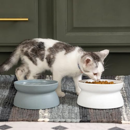 Kitty City Elevated Slow Feeder Cat Bowls (Set of 2), Whisker-Friendly Raised Cat Food Dishes with Ridges, Helps Reduce Fast Eating & Digestion Issues, Dishwasher Safe, 6.5 oz – White & Gray - color: Gray/White, size: Small, style: Small - Slow Feed