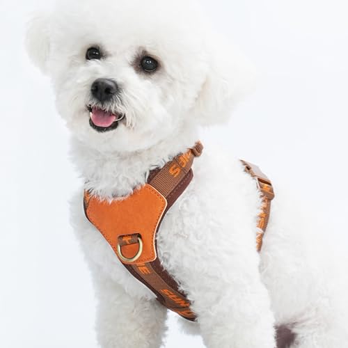 Brown Dog Harness for Small Dogs, Nylon No Pull Vest with 2 Leash Clips for Walking Running Playing, Puppy Vest Small Sized Dog, Adjustable Soft Padded Light Dog Vest Harness (Brown, XS) - color: Brown, size: XS