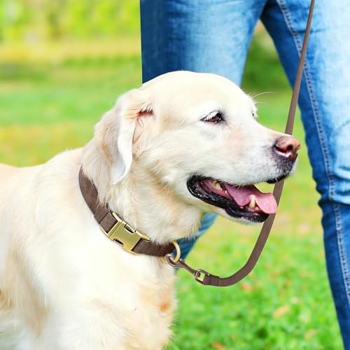 Genuine Leather Dog Collar - Adjustable Pet Collar with Quick Release Metal Buckle, Soft Skin Friendly Real Leather Collar for Small, Medium, Large Dogs (Dark Brown Collar + Rope, M：Fit 12-20" Neck) - color: Dark Brown Collar + Rope, size: M：Fit 12-20" Ne
