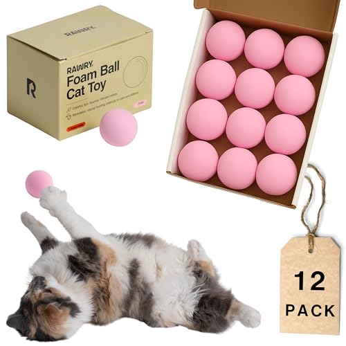 Rawry Foam Ball Cat Toy Set – 12 Foam Balls for Indoor Cats & Kittens | Soft, Durable, Bouncy Balls for Playtime & Exercise | Lightweight, Non-Toxic, Easy for Cats to Chase (Pink) - color: Pink