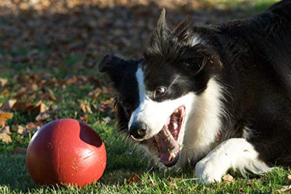 Jolly Pets Push-n-Play Ball Dog Toy, 6 Inches/Medium, Red (306 RD) - color: Red, size: Medium (6 in)