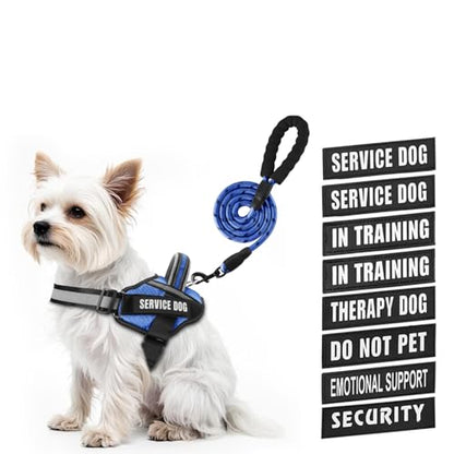 Service Dog Vest Harness and Leash Set, Animire in Training Dog Harness with 10 Dog Patches, Reflective Dog Leash with Soft Padded Handle for Small, Medium, Large, and Extra-Large Dogs - color: Blue, size: XXS