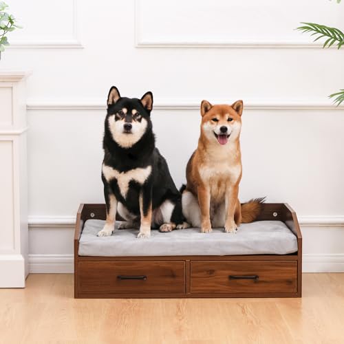 Elevated Dog Bed for Small to Medium Dogs – 32” x 21” Indoor Wooden Pet Sofa with Soft Cushion, Mid-Century Modern Style, Sturdy & Stylish (Walnut) - color: Grey