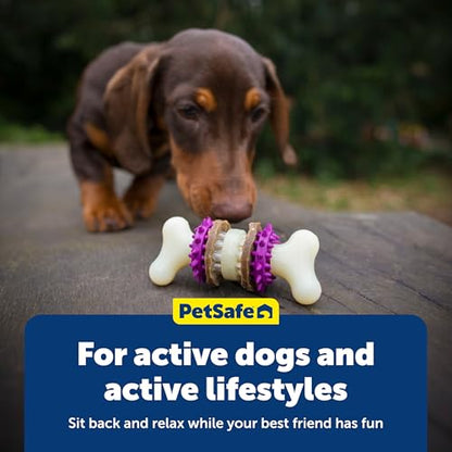 PetSafe Busy Buddy Bristle Bone Dog Chew Toy - Treat Holding Toothbrush Toy for Hard Chewers - Helps Keep Your Dog's Teeth Clean - Durable, Interactive - Purple, Small - size: Small, style: Bristle Bone