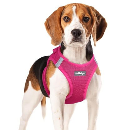 rabbitgoo Small Dog Harness, Step-in Soft Mesh Puppy Vest with Safety Buckle, Breathable Reflective Pet Harness for Small Medium Dogs, Rose Red XL - color: Rose Red, size: Xl(chest:20.0"-21.8")