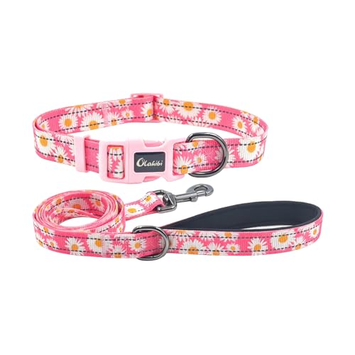 Dog Collar Leash Set, Floral Pattern, with Safety Reflective Strips, 5 ft Matching Leash, Neoprene Padded Handle, Adjustable 4 Sizes for Small Medium Large Dogs.(XS, Pink Daisy) - color: Floral Daisy Pink, size: Extra Small