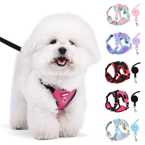 Coppthinktu Dog Harness with Leash Set for Small Sized Dogs Cats, No Pull Dog Harness Soft Mesh Cat Puppy Harness, Adjustable Reflective Step-in Pet Vest Harnesses for Outdoor Walking Training - color: Rose Red, size: Small