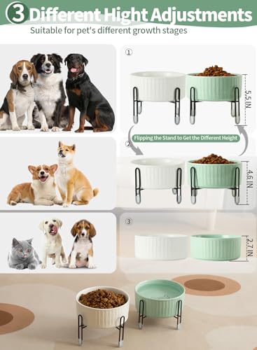 32 OZ Ceramic Dog Cat Bowls with Elevated Metal Stand, 2 Heights Elevated, 6.5 Inch Ceramic Round Pet Food and Water Feeder Bowl Dish for Cats & Dogs, White & Green - color: White & Green