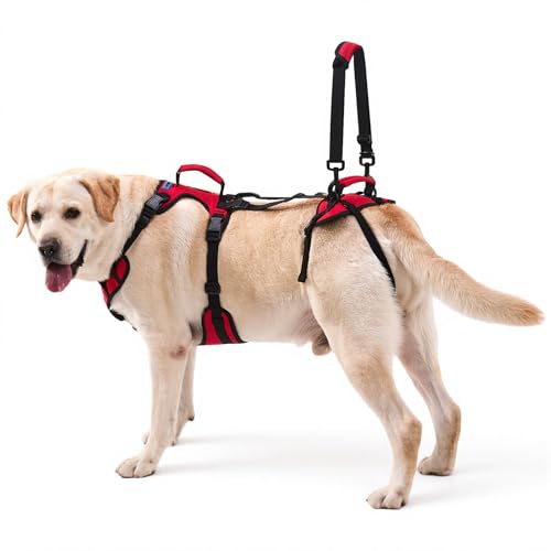 Dog Lifting Harness for Medium Dogs, Dual Handle Dog Support Harness for Daily Walking Assistance, Male Dog-Friendly, Breathable & Easy On Mobility Aid, Red, M - size: Medium
