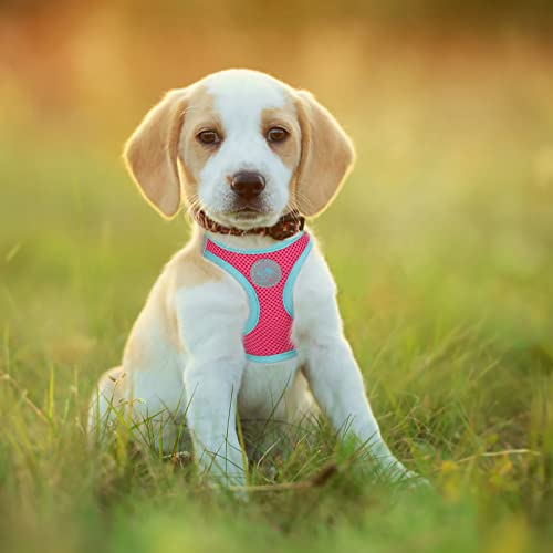 PHOEPET Step-in Dog Harness,Reflective Adjustable Dog Vest Harness, Soft Pet Walking Jacket with 2 Metal Leash Hooks for Dog and Cat(Pink Base & Green Straps,XS) - color: Pink Base & Green Straps, size: XS (Neck: 9-10”,Chest: 11.5-13”)