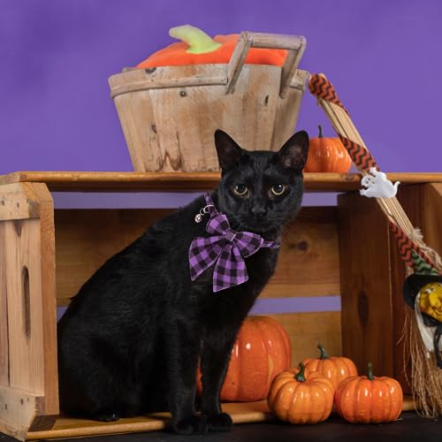 ADOGGYGO Halloween Cat Collars with Removable Bow Bell, 2 Pack Orange Purple Plaid Halloween Bowtie Collar for Cats Kittens - color: Orange&Purple-2