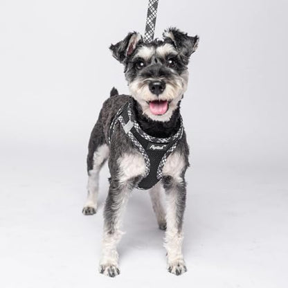 PUPTECK Dog Harness and Leash Set for Small Medium Dogs No Pull Step-in Soft Mesh Puppy Cat Vest Harnesses Reflective at Night, Black L - color: #1 Black(Basic Mesh), size: L(CHEST 18"-20", 16.5-22 lbs)