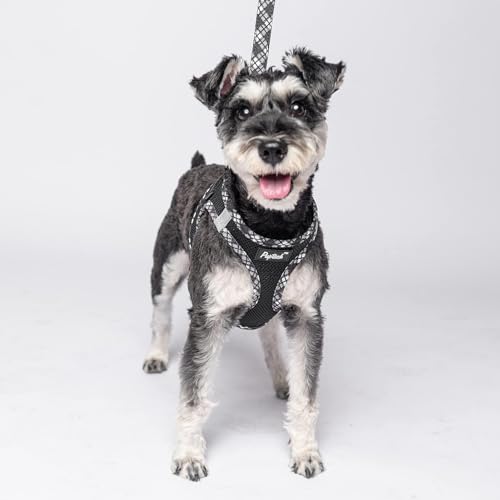 PUPTECK Dog Harness and Leash Set for Small Medium Dogs No Pull Step-in Soft Mesh Puppy Cat Vest Harnesses Reflective at Night, Black M - color: #1 Black(Basic Mesh), size: M(CHEST 16"-18", 11-18 lbs)