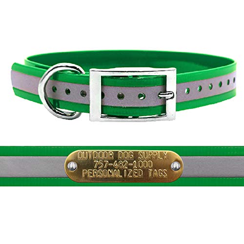 Outdoor Dog Supply 1" Heavy Duty Reflective Waterproof D-Ring Dog Collar for Medium & Large Dogs with 3/4" Custom Brass Nameplate (Reflective Dark Green, 18") - color: Reflective Dark Green, size: 18" Long