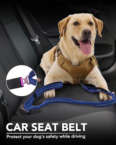 Joytale Tactical Dog Leash Heavy Duty, 4-6FT Shock Absorbing Bungee Lead with 2 Padded Handle, Metal Carabiner Clip, Car Seatbelt, Strong No Pull Leash for Medium Large X-Large Dogs, Navy Blue - color: Navy Blue