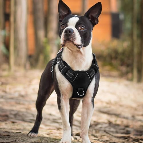 rabbitgoo Dog Harness Small Sized, No Pull Dog Vest with 3 Buckles, Adjustable Soft Padded Pet Harness with Easy Control Handle and Reflective Strips, Black, S - color: Black, size: Small