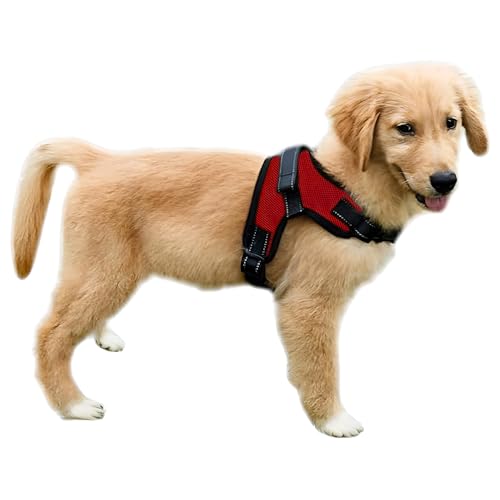 No Pull Reflective Adjustable Dog Harness With Handle- Comfortable Soft All Weather Mesh, Easy On Puppy Harness For Small Medium and Large Dogs (Red) X-Small - color: Red, size: X-Small
