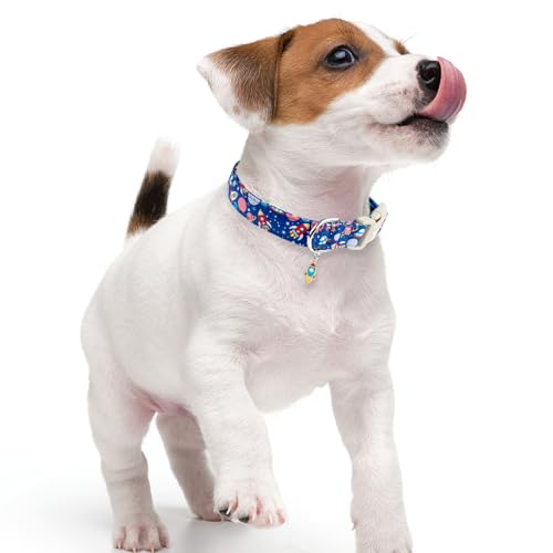 Faygarsle Space Theme Dog Collar, Navy Blue with Rockets and Planets Pattern for Summer Small Medium Large Dogs L - color: Blue Space, size: Large