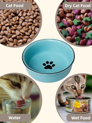 GDCZ Ceramics Raised Cat Bowls with Heighten Metal Stand,15 Ounces Turquoise - color: Turquoise